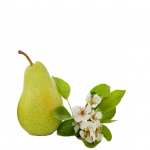 ambientador ecologico perfume de hogar english pear and freesia